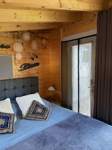 Tinyhouse Woody At The Water Lejlighed Zaandam Eksteriør billede