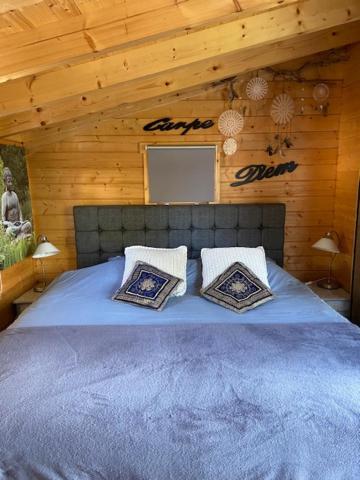 Tinyhouse Woody At The Water Lejlighed Zaandam Eksteriør billede